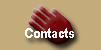 Contact info